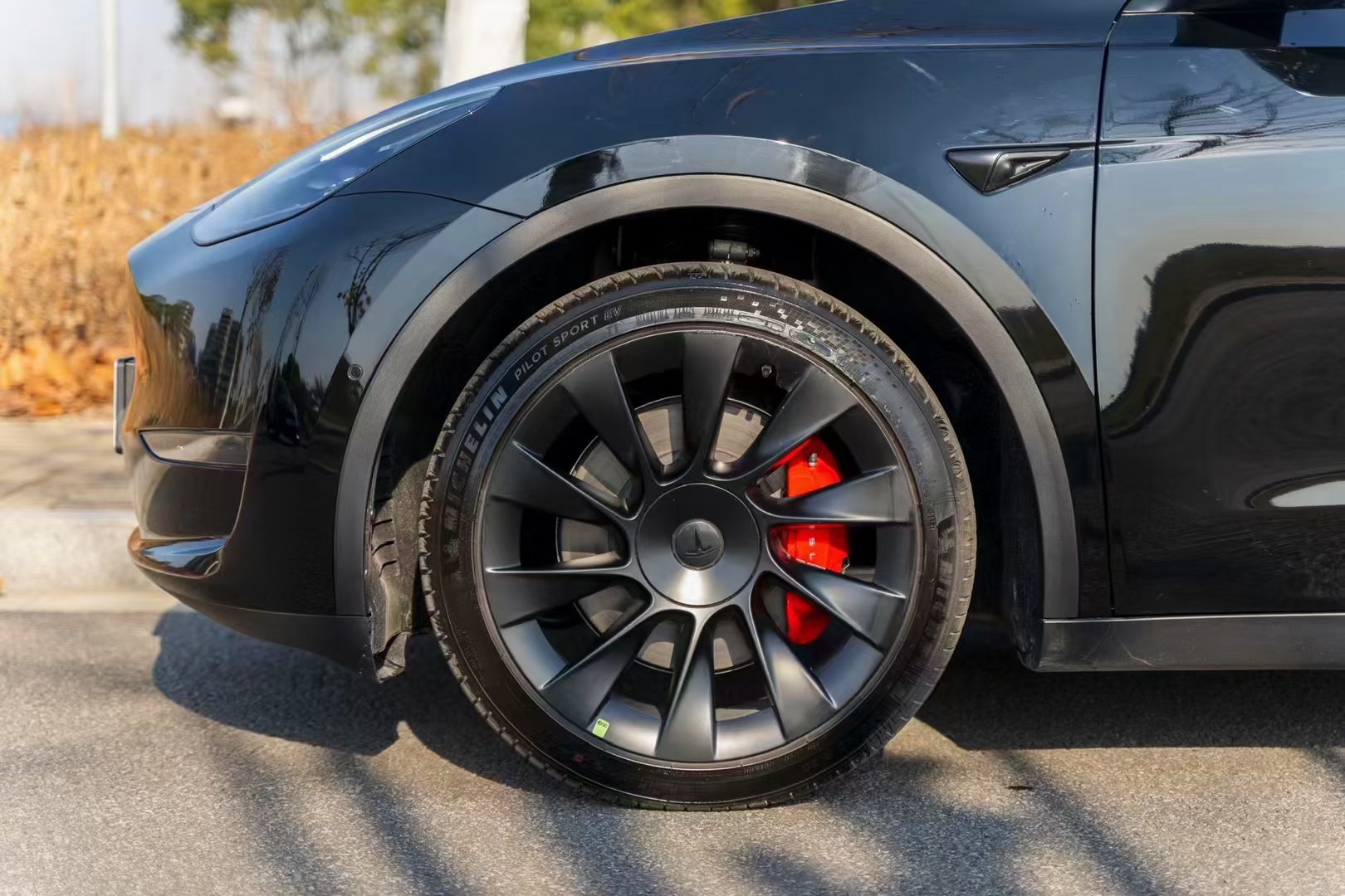 Tesla Model Y Fitment